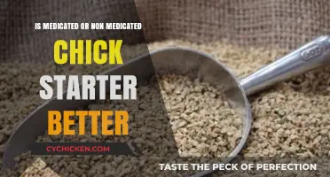 Medicated vs. Non-Medicated Chick Starter: Which is Best for Your Flock?