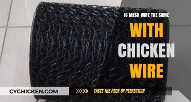 Mesh Wire vs. Chicken Wire: Understanding the Key Differences