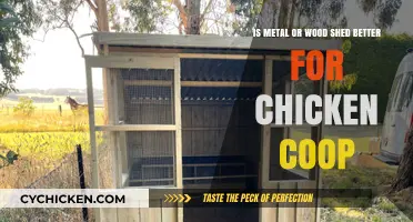 Which Shed Material Reigns Supreme for Your Chicken Coop: Metal or Wood?