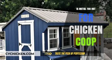 Exploring Metal Roofing for Chicken Coops: Too Hot or Just Right?