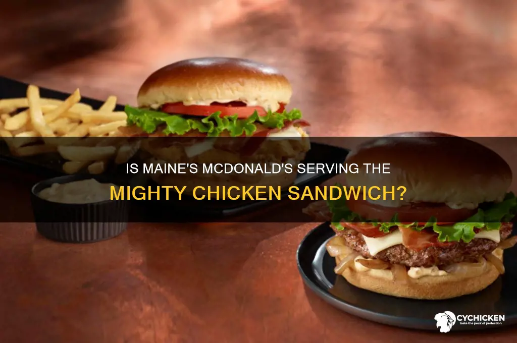 is mighty chicken sandwich in maine mcdonald