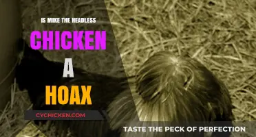 Mike the Headless Chicken: Fact or Fiction? Uncovering the Truth