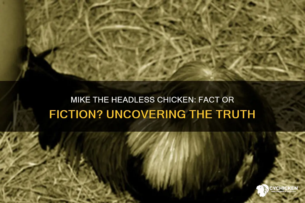 is mike the headless chicken a hoax