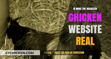 Is Mike the Headless Chicken's Website Real or a Hoax?