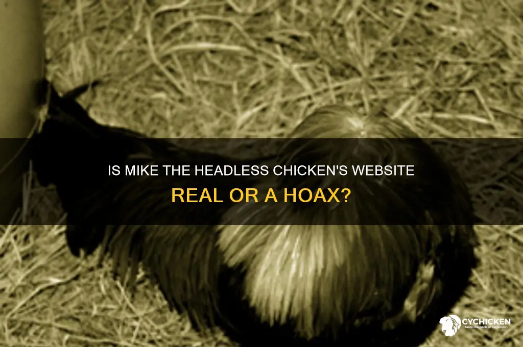 is mike the headless chicken website real