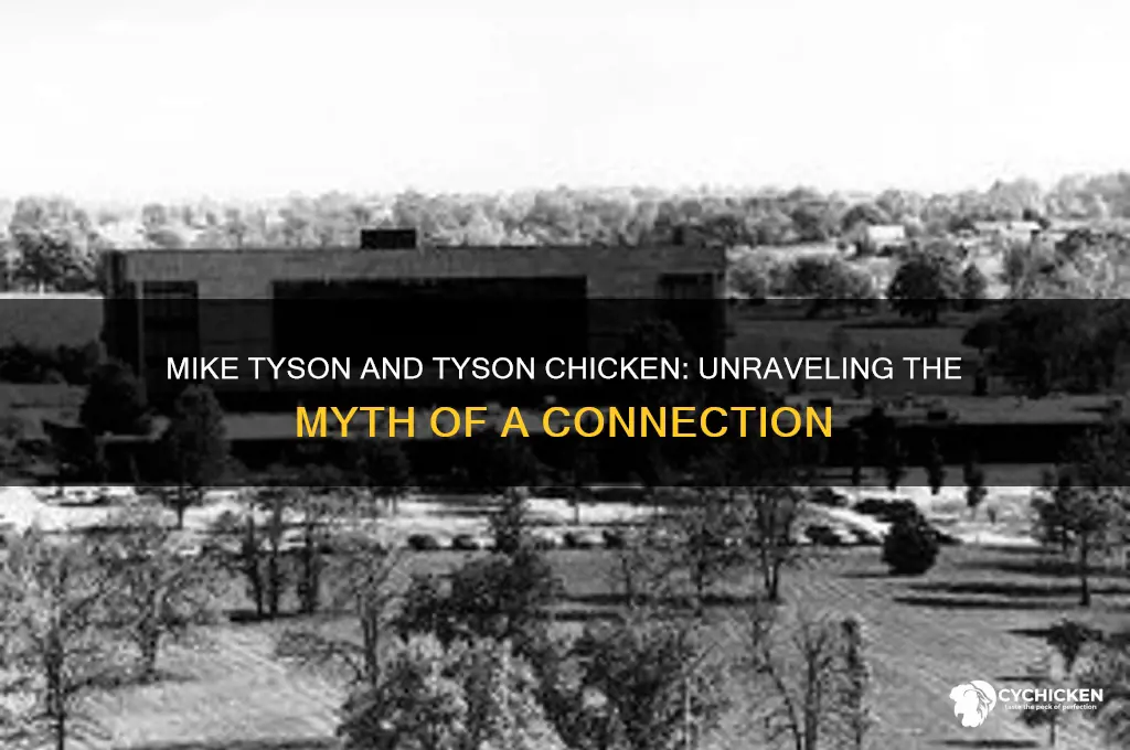 is mike tyson related to tyson chicken