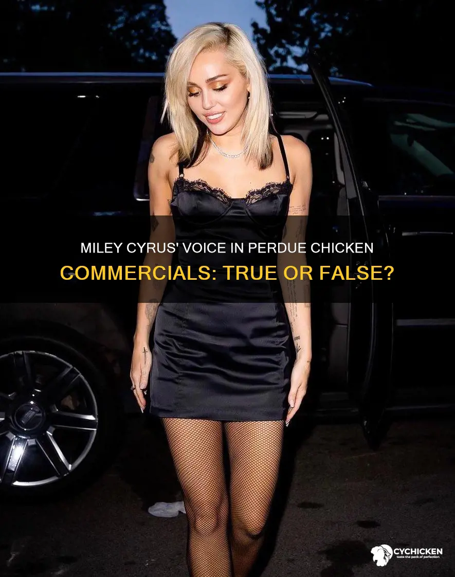 is miley cyrus the voice for perdue chicken commercial