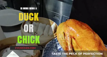 Ming Ming's Identity: Unraveling the Duck or Chick Mystery