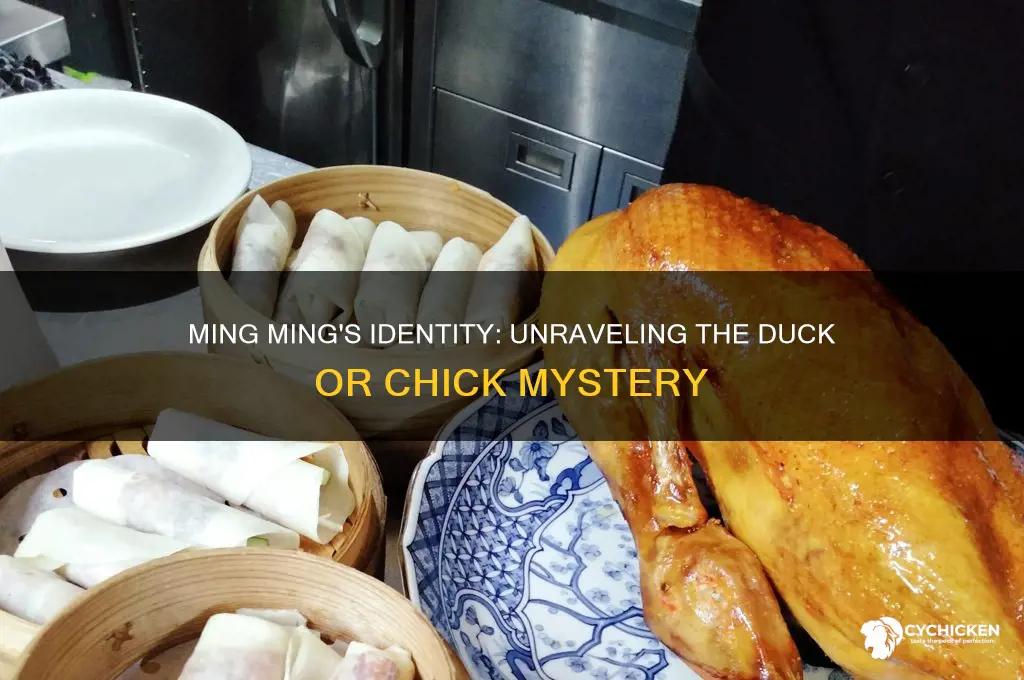is ming ming a duck or chick