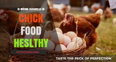 Are Eggshells in Chick Feed Beneficial or Harmful?
