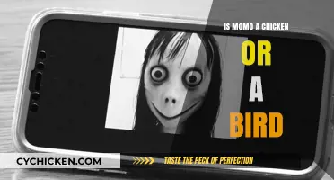 Is Momo a Chicken or a Bird? Unraveling the Mystery