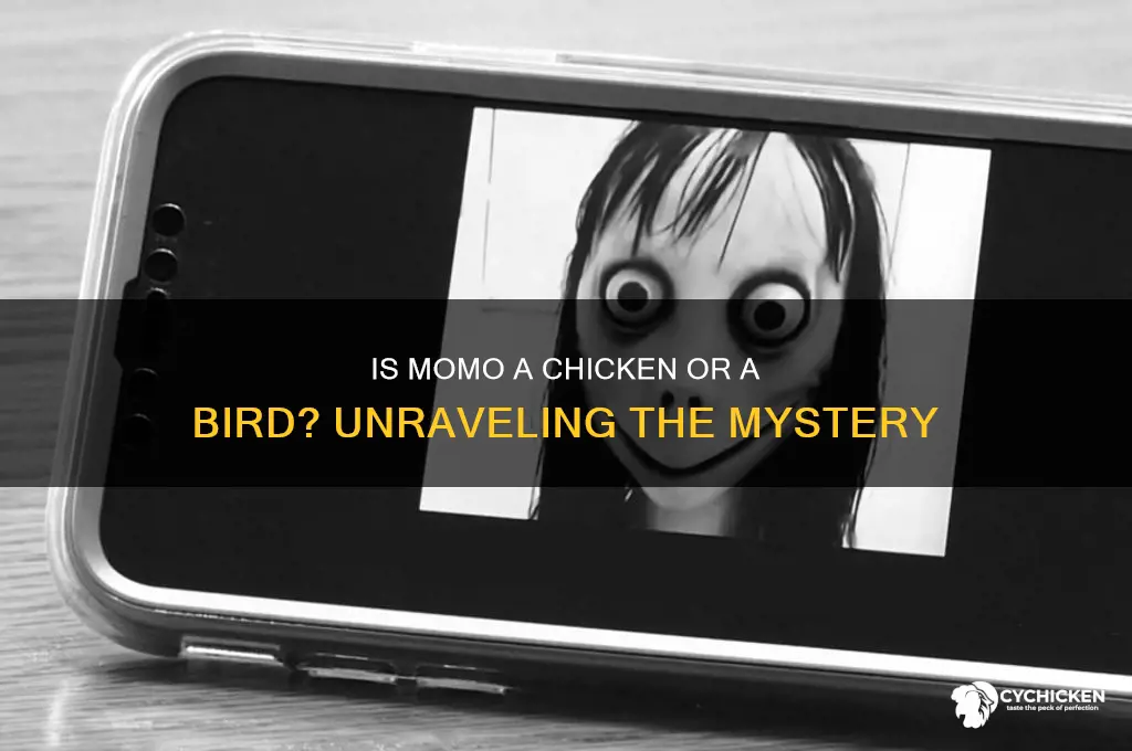 is momo a chicken or a bird