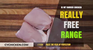 Is Mt Barker Chicken Truly Free Range? Uncovering the Facts