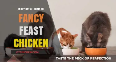 Is Your Cat Allergic to Fancy Feast Chicken? Signs and Solutions