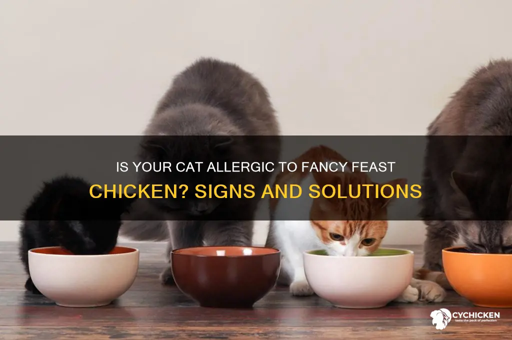 is my cat allergic to fancy feast chicken