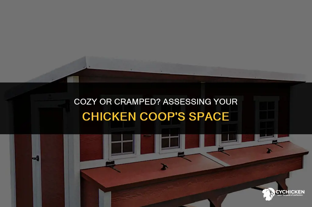 is my chicken coop too small