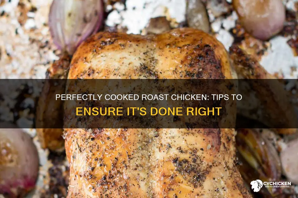 is my roast chicken cooked