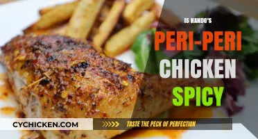 Is Nando's Peri-Peri Chicken Spicy? A Heat Level Guide