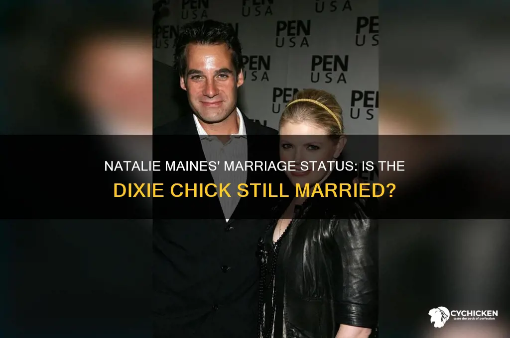 is natalie from dixie chicks still married