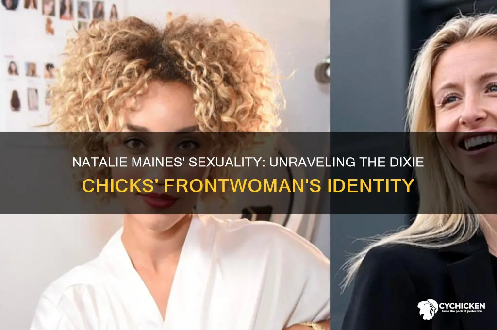 is natalie from the dixie chicks a lesbian