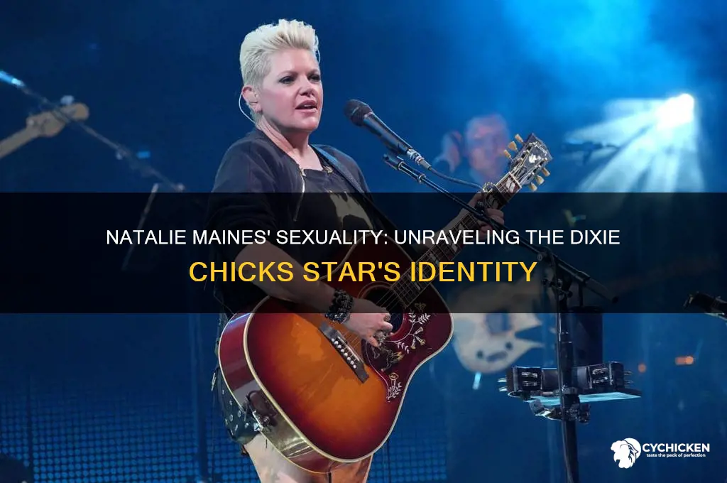 is natalie from the dixie chicks gay