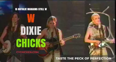 Natalie Maines' Current Status with the Dixie Chicks Explored