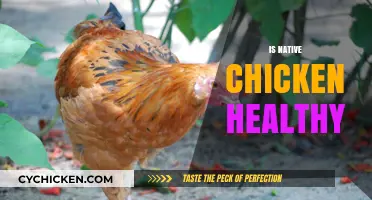 Exploring the Health Benefits of Native Chicken: A Nutritional Guide