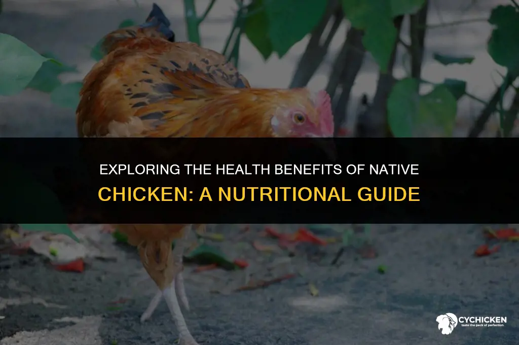 is native chicken healthy