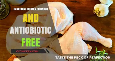 Natural Chicken: Hormone and Antibiotic-Free Truths Unveiled