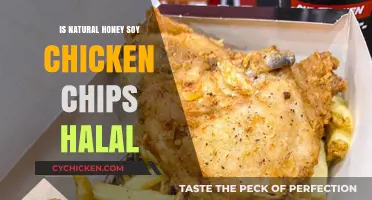 Is Natural Honey Soy Chicken Chips Halal? A Detailed Analysis