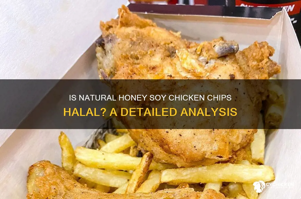 is natural honey soy chicken chips halal
