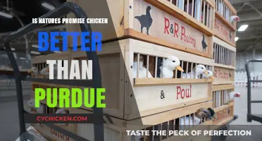 Nature's Promise vs. Purdue Chicken: Which Brand Reigns Supreme?