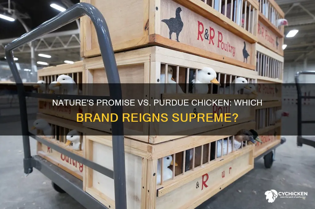is natures promise chicken better than purdue