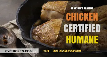 Is Nature's Promise Chicken Certified Humane? Uncovering the Truth