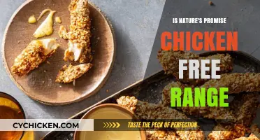 Is Nature's Promise Chicken Free Range? Uncovering the Truth