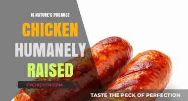 Is Nature's Promise Chicken Humanely Raised? Uncovering the Truth