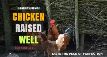 Is Nature's Promise Chicken Ethically and Sustainably Raised? A Review