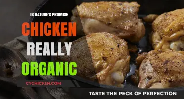 Is Nature's Promise Chicken Truly Organic? Uncovering the Facts