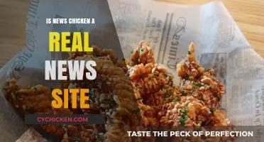 Is News Chicken Legit? Uncovering the Truth Behind the Headlines