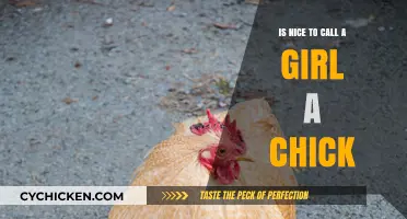 Is 'Chick' a Compliment or a Problematic Term for Women?