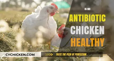 Exploring the Health Benefits of Antibiotic-Free Chicken