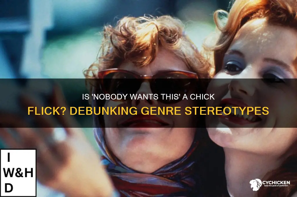 is nobody wants this a chick flick
