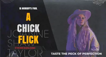 Is 'Nobody's Fool' a Chick Flick? Debunking Genre Stereotypes