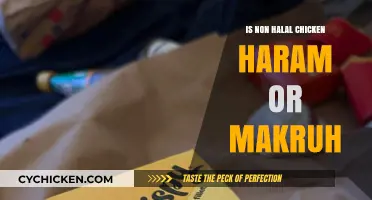 Non-Halal Chicken: Haram or Makruh? Exploring Islamic Dietary Laws
