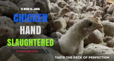 Is Noor Al Jabal Chicken Hand-Slaughtered? Facts Revealed