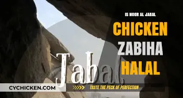 Is Noor Al Jabal Chicken Zabiha Halal? Exploring the Facts