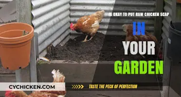 Raw Chicken Scraps: Safe Garden Superfood?