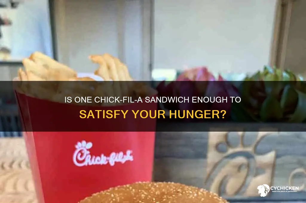 is one chick fil a sandwich enough food