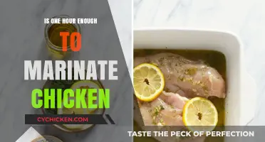 Can One Hour Marinate Chicken Perfectly? Quick Tips Revealed