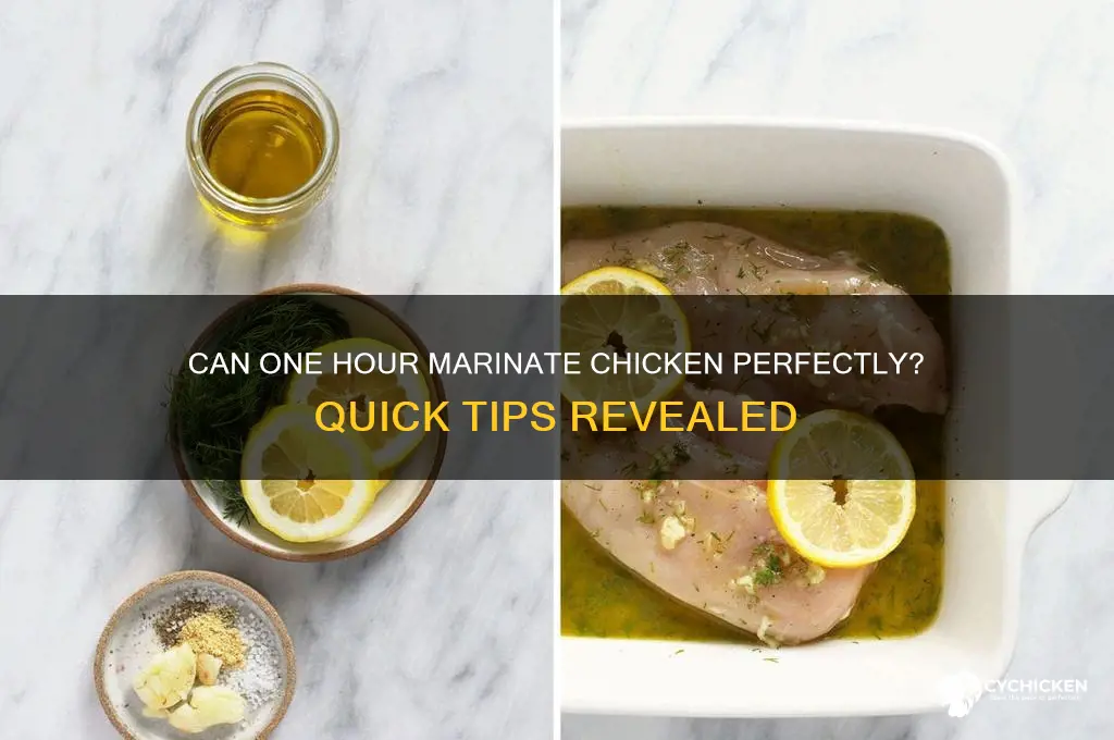 is one hour enough to marinate chicken
